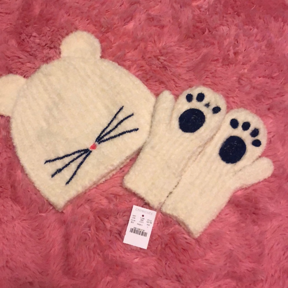 J Crew Cute Hat w/ Mittens
